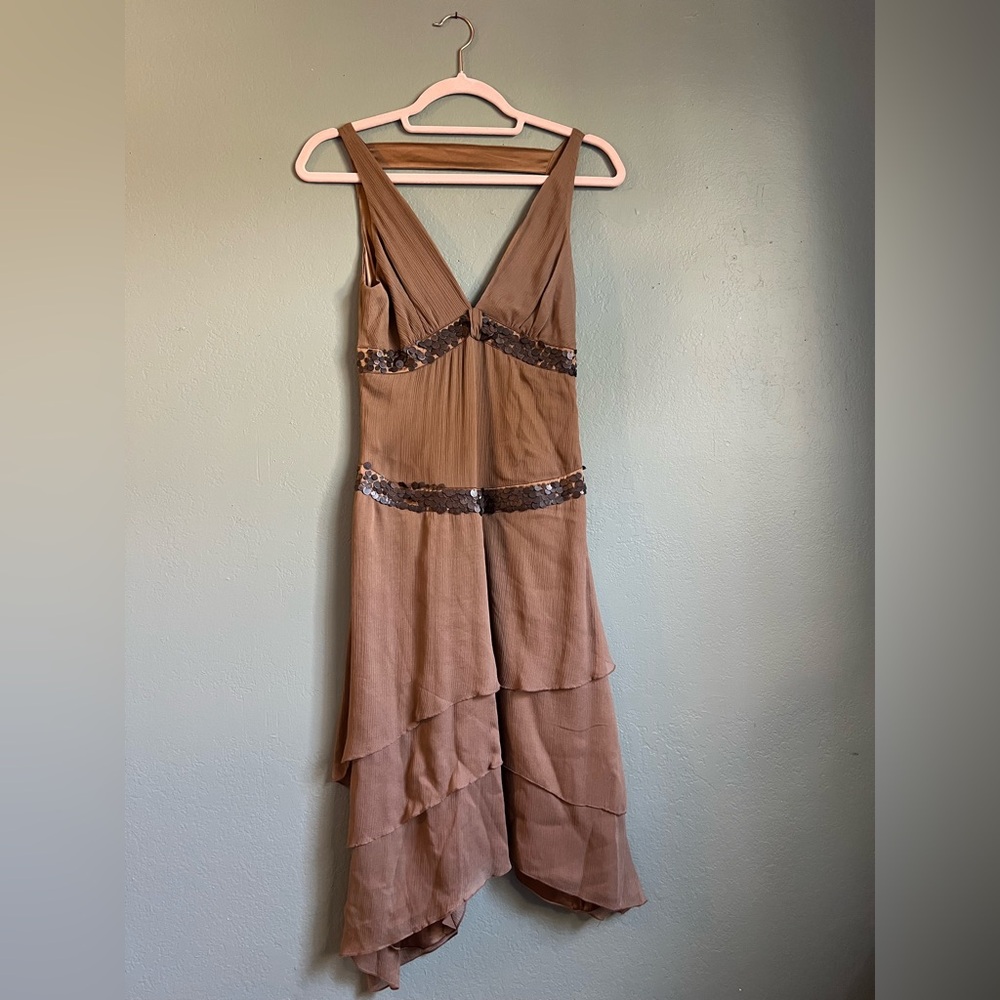 Brown silk bebe dress